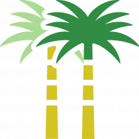 Palm-Bro (1)